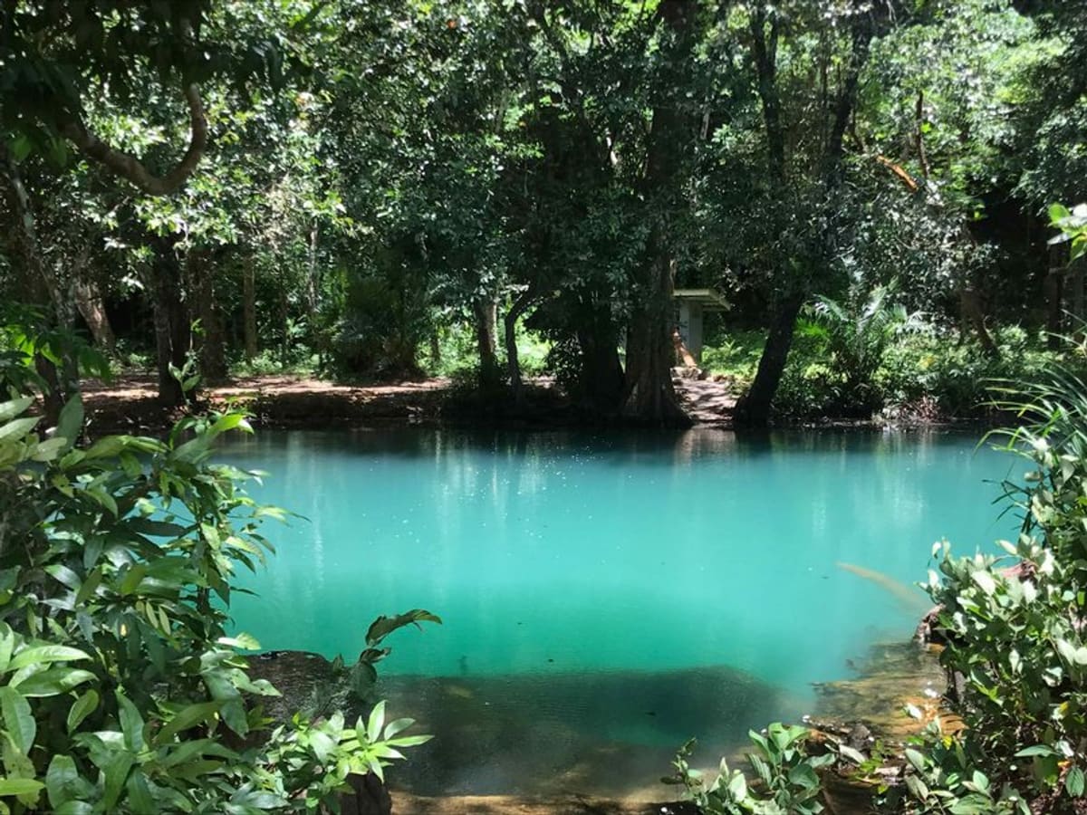 Thalane - Kayak dans la mangrove et piscines naturelles, photo 3