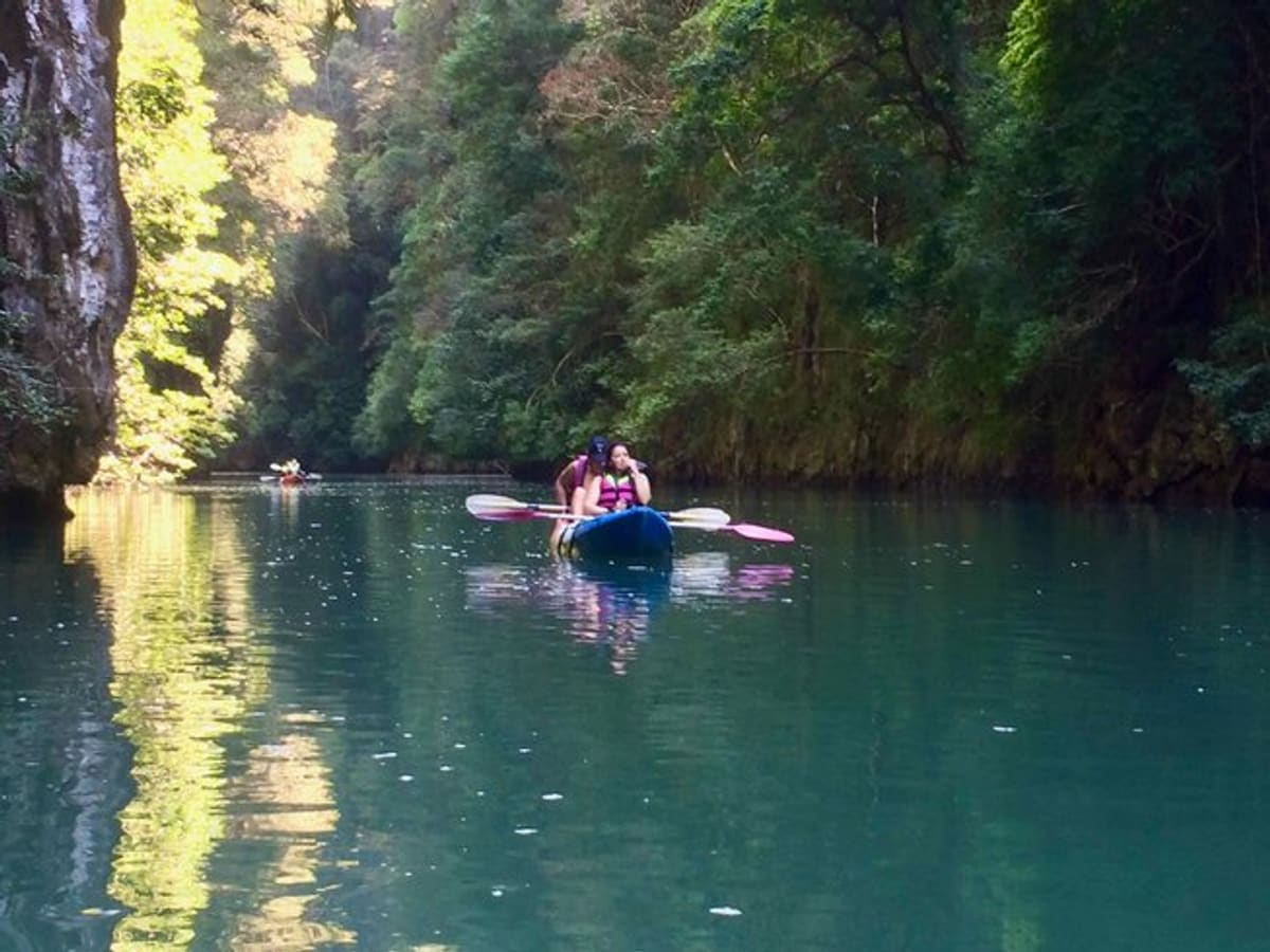 Thalane - Kayak dans la mangrove et piscines naturelles, photo 4