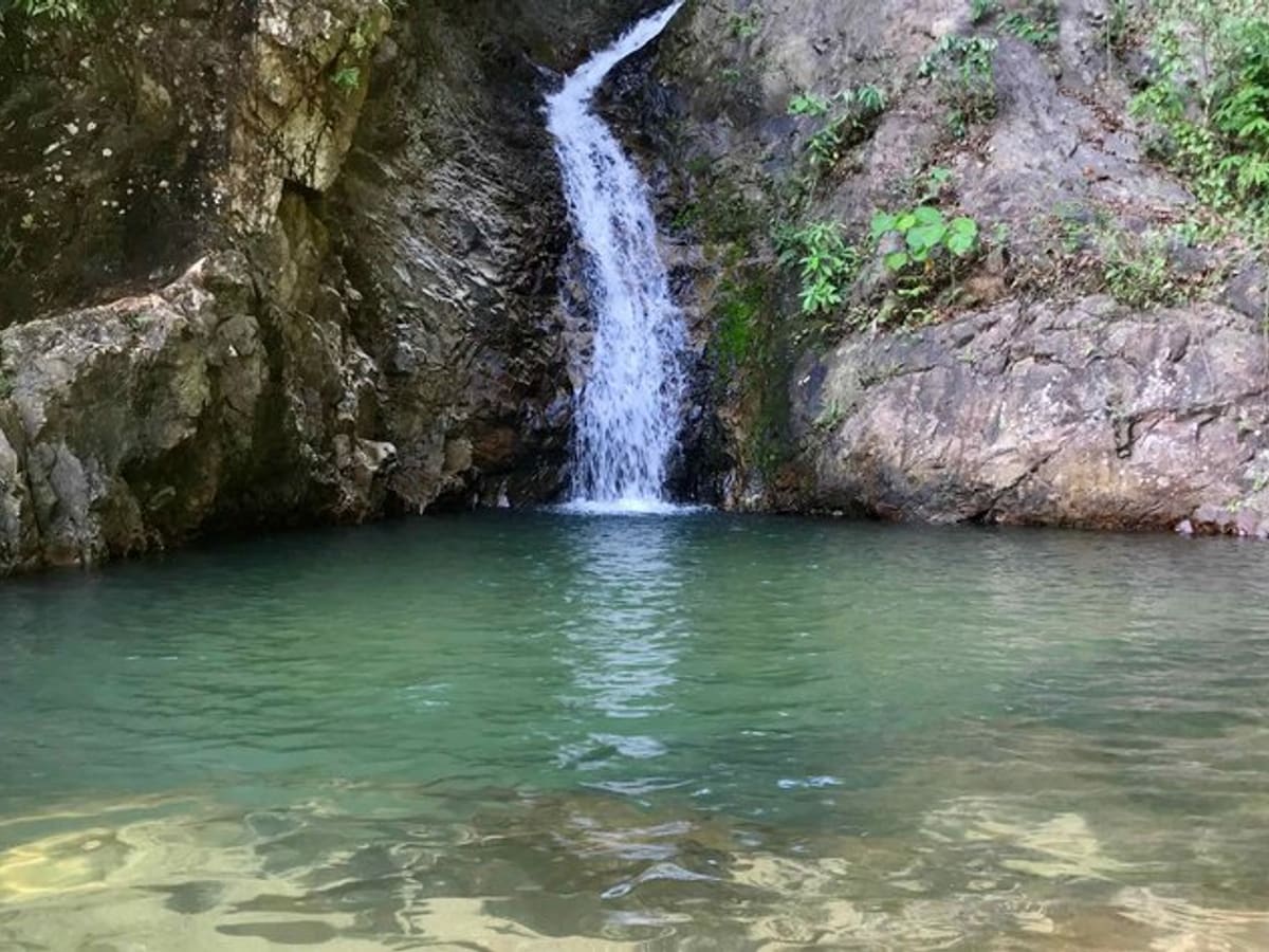 Promenade en forêt tropicale primaire et cascade, photo 4