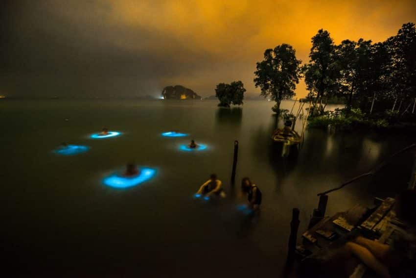 Qu'est ce que sont les lumières vertes dans le golfe de Thaïlande